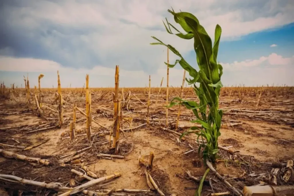 Mudanças Climáticas