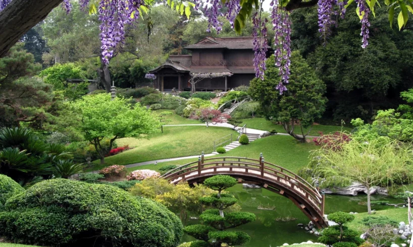 jardim japones