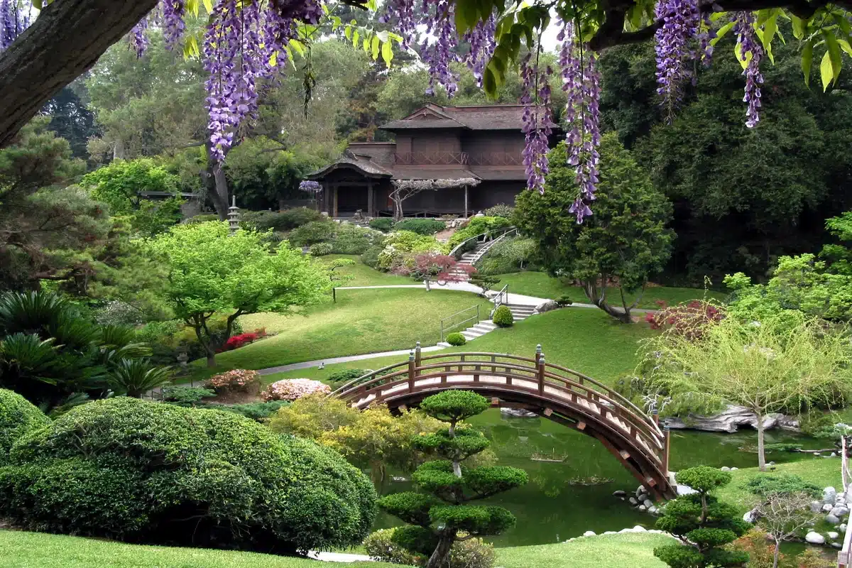 jardim japones