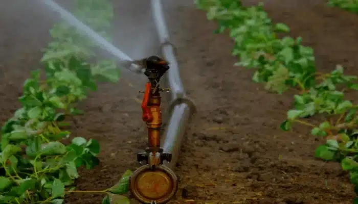 tipos de aspersores para irrigação