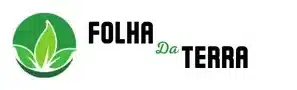 folhadaterra.com.br