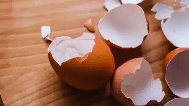 Adubo de casca de ovo