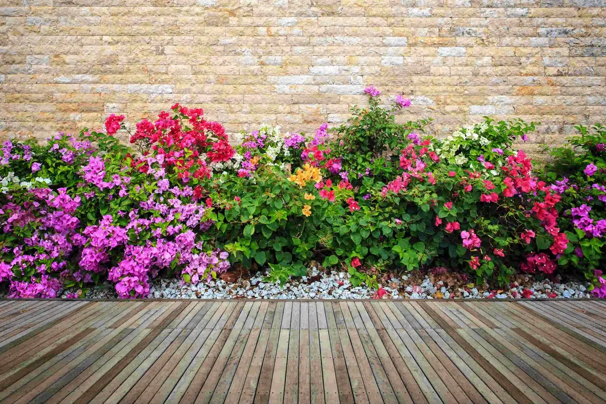 Transformar seu Jardim