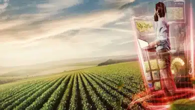Inteligência Artificial na Agricultura