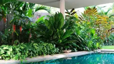 Jardim Tropical