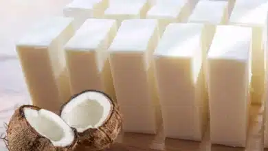 sabão de coco caseiro