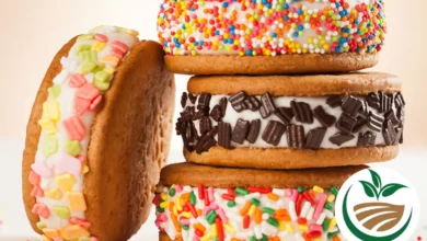 Cookies gigante com recheio de marshmallows delicioso para fazer em casa